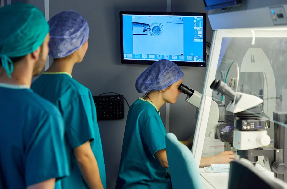 IVF-Life Donostia (Instituto Vasco de Fertilidad)