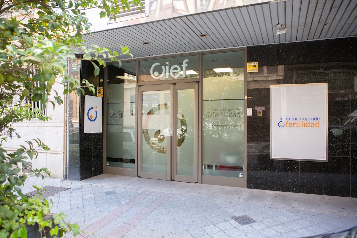 Instituto Europeo de Fertilidad (IEF)