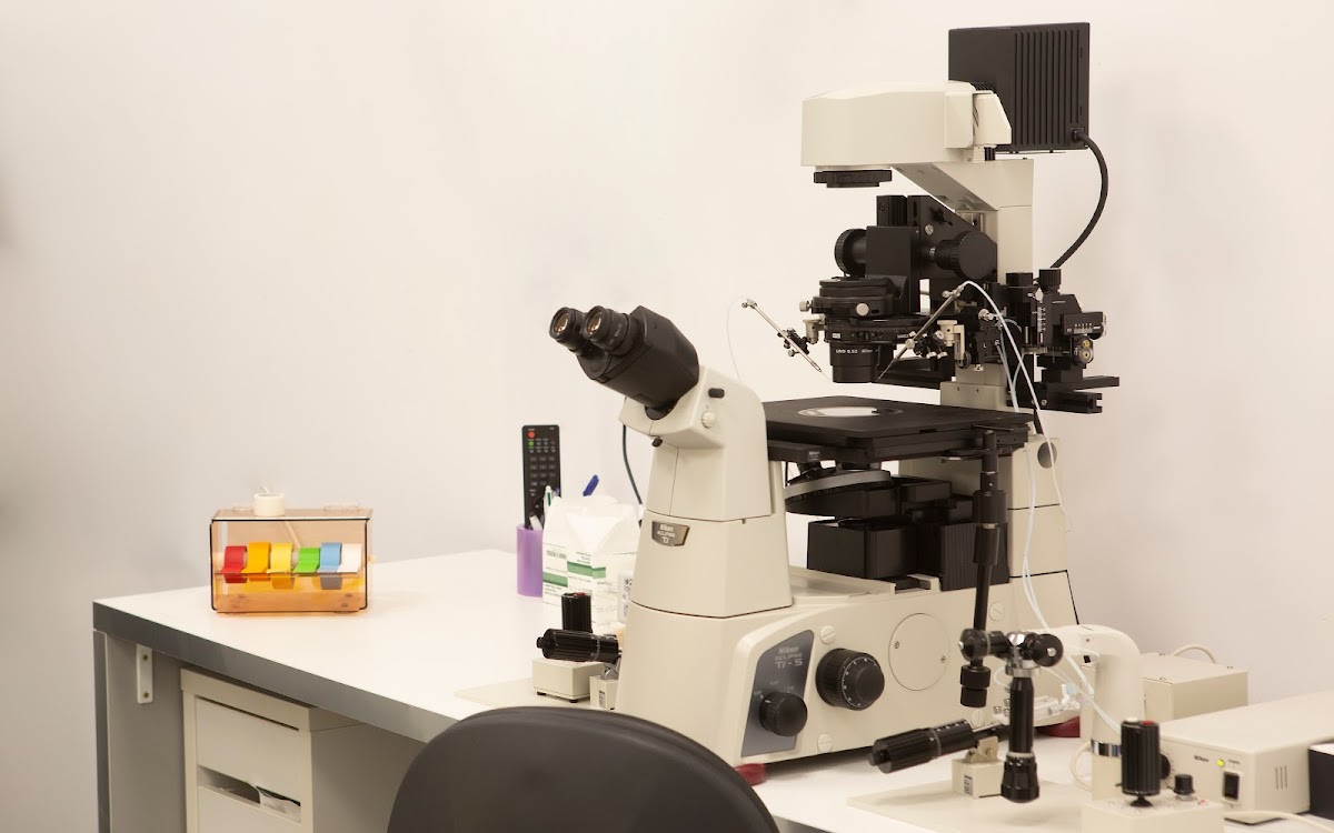 Instituto Europeo de Fertilidad (IEF)