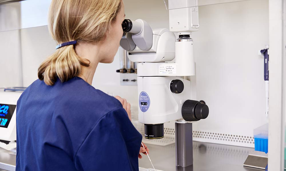 TFP Ciconia Fertility