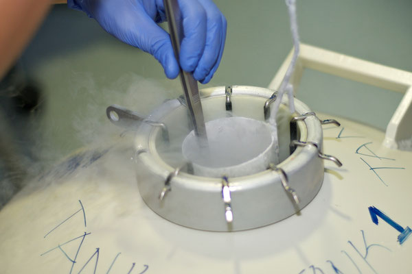 Novafertility . Clínica de Ginecología, Fertilidad y Reproducción Asistida.