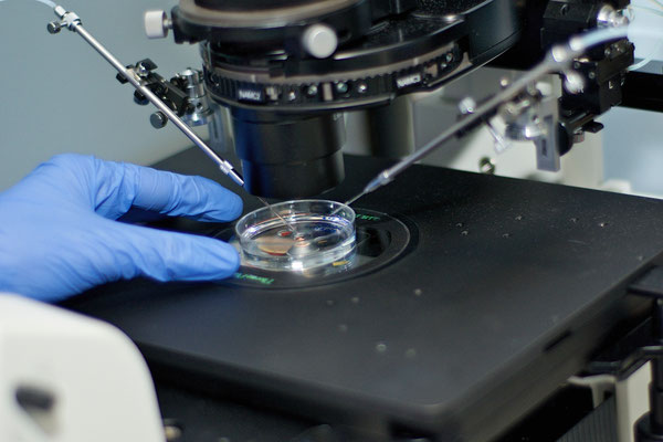 Novafertility . Clínica de Ginecología, Fertilidad y Reproducción Asistida.