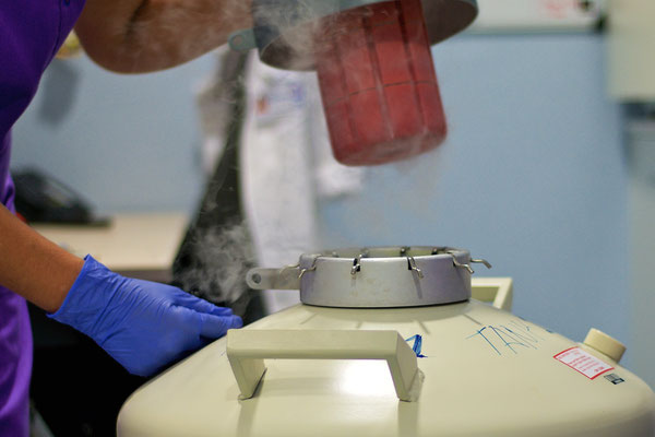 Novafertility . Clínica de Ginecología, Fertilidad y Reproducción Asistida.