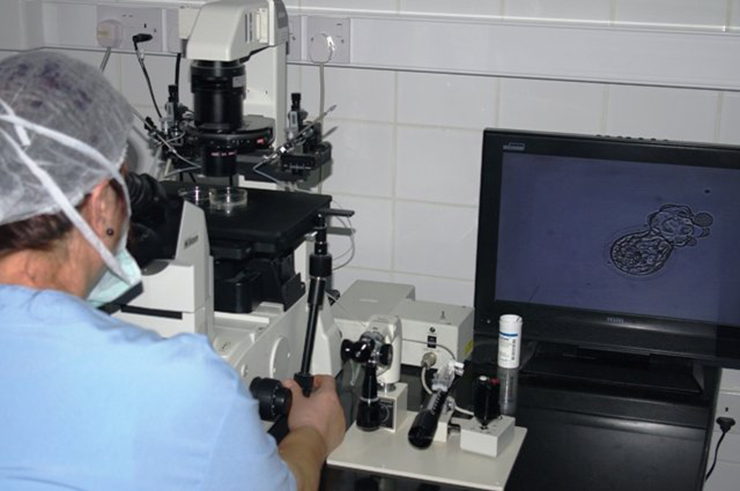 Dogus IVF Fertility Clinic