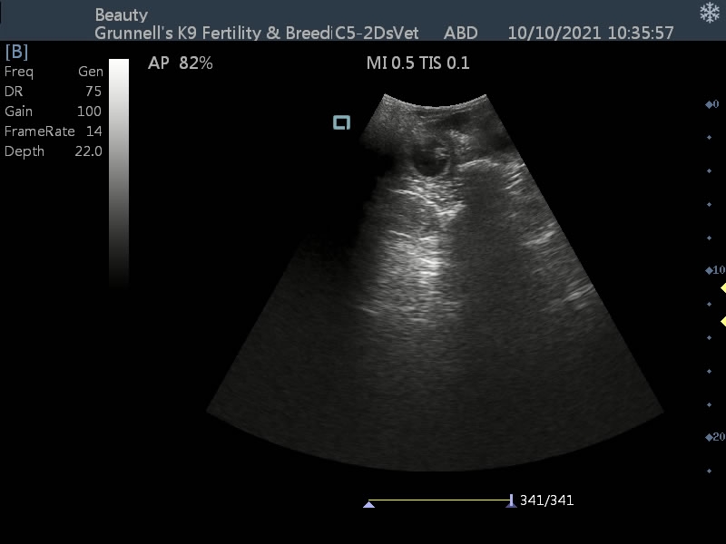 Grunnell’s K9 Fertility Coventry & Warwickshire
