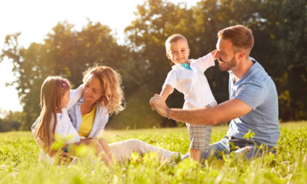 abc ivf Sheffield