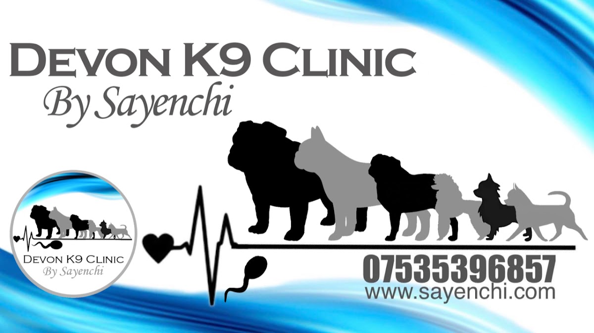 Devon K9 Clinic by Sayenchi