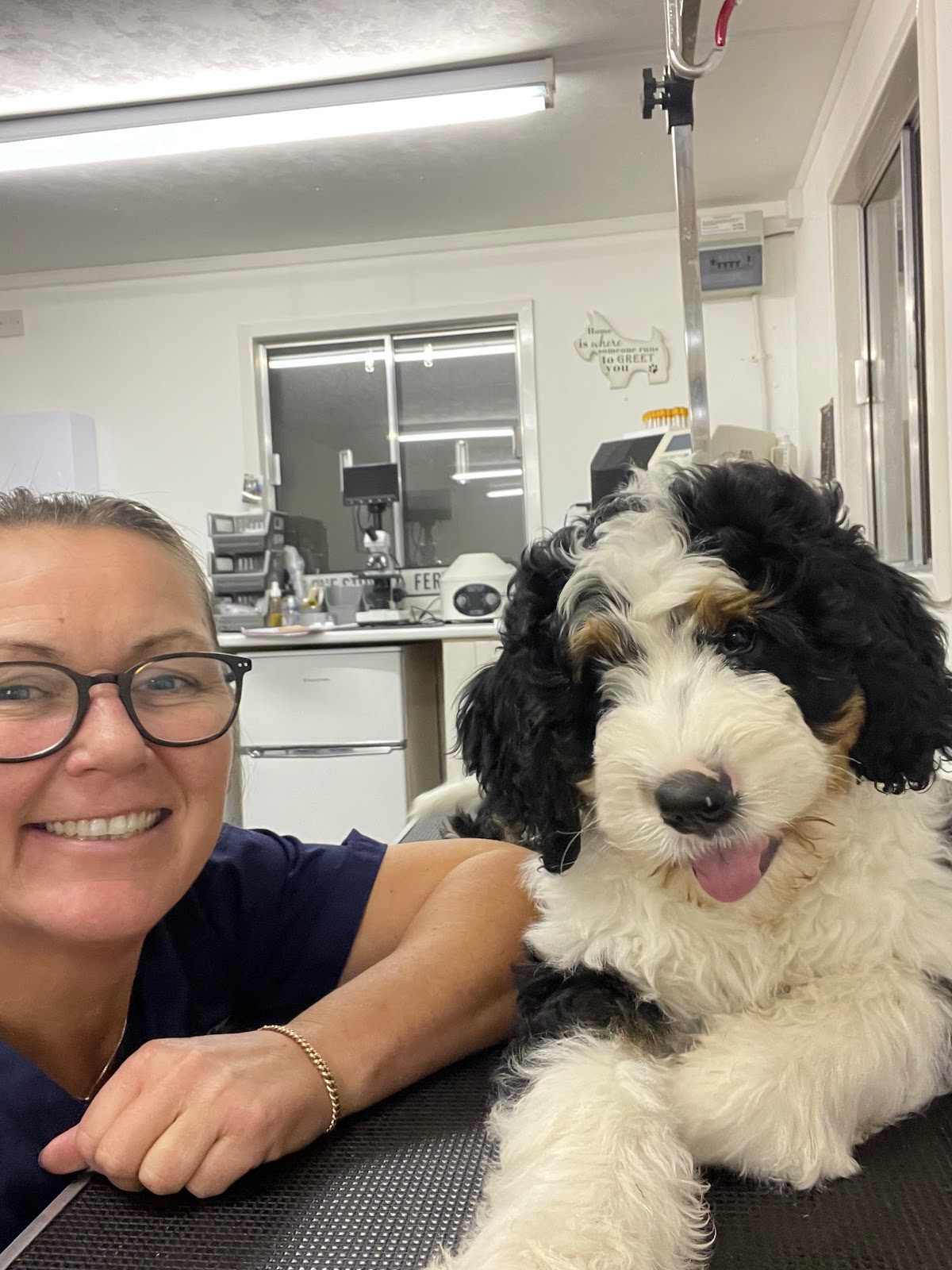 One Stop K9 Fertility