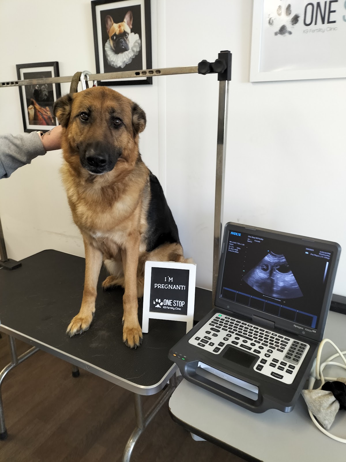 One Stop K9 Fertility