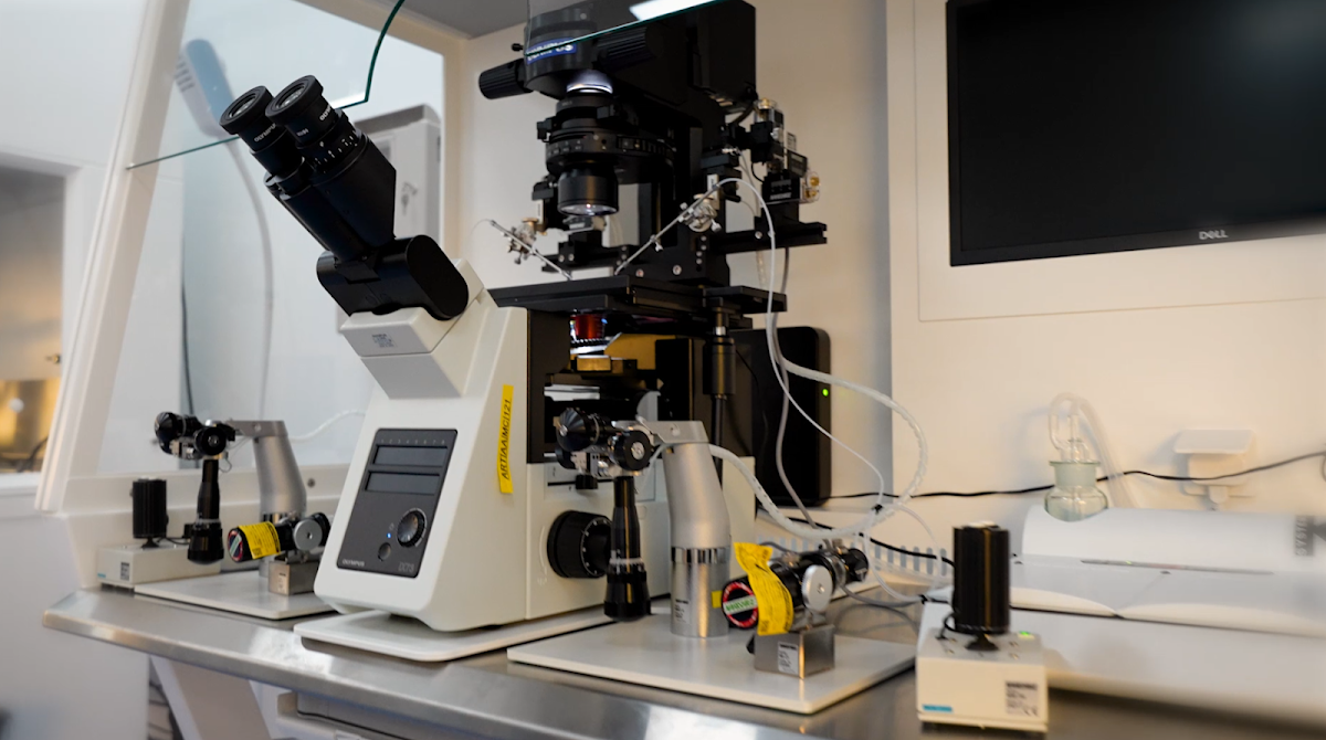 ART-Fertility-Clinics-Best-IVF-amp-Fertility-Clinic-AL-Ain-UAE-5