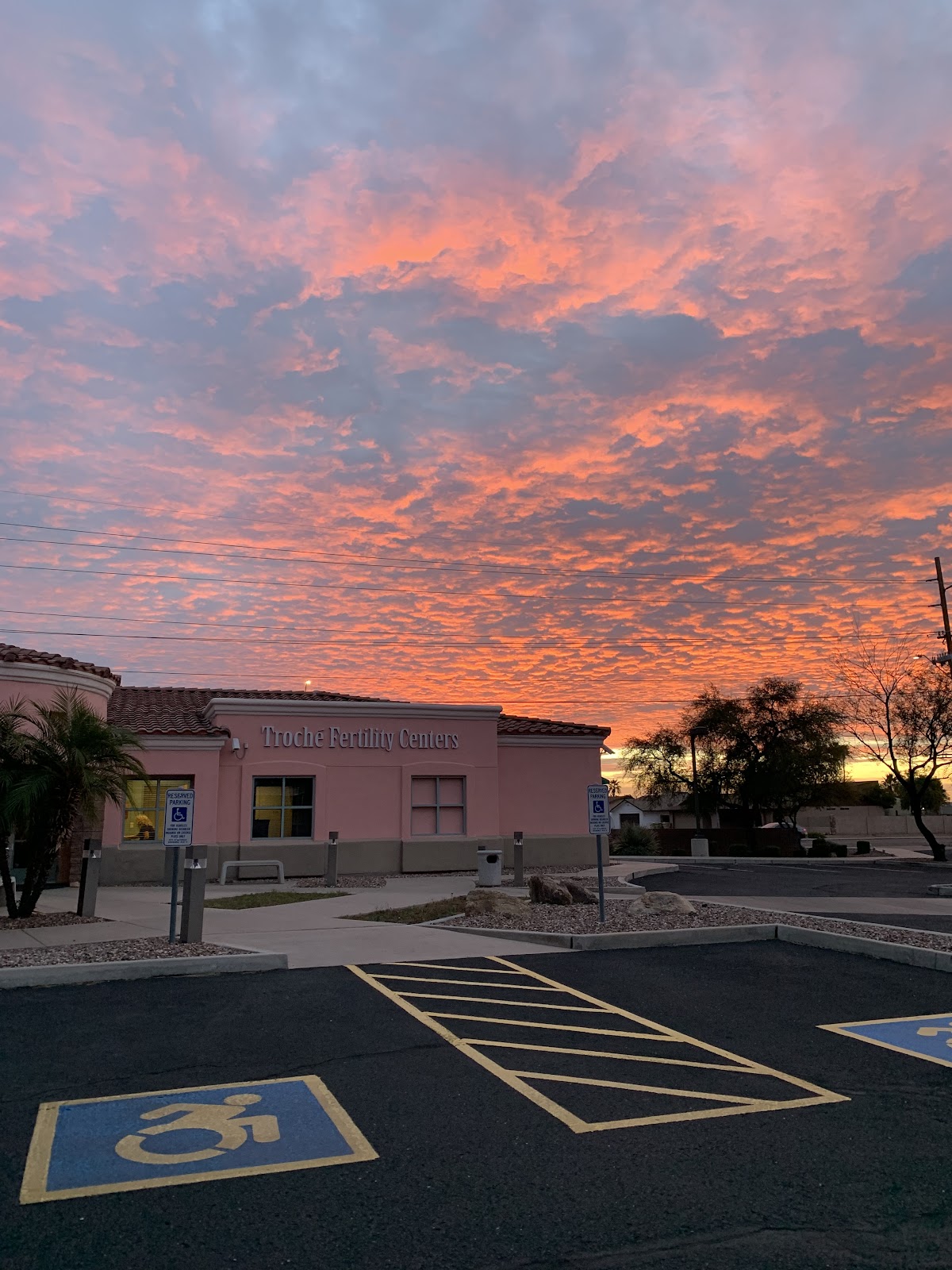 Advanced-Fertility-Care-1