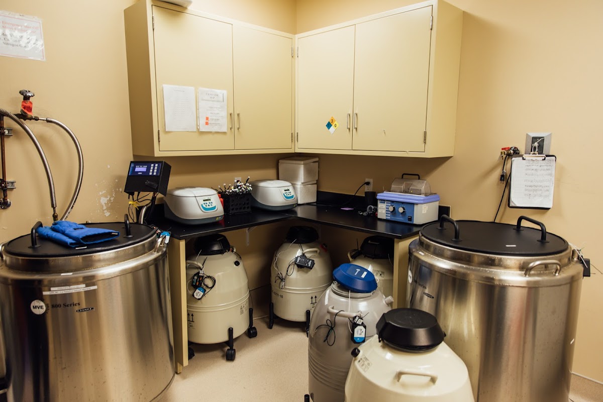 Advanced-Fertility-Care-8211-Scottsdale-3