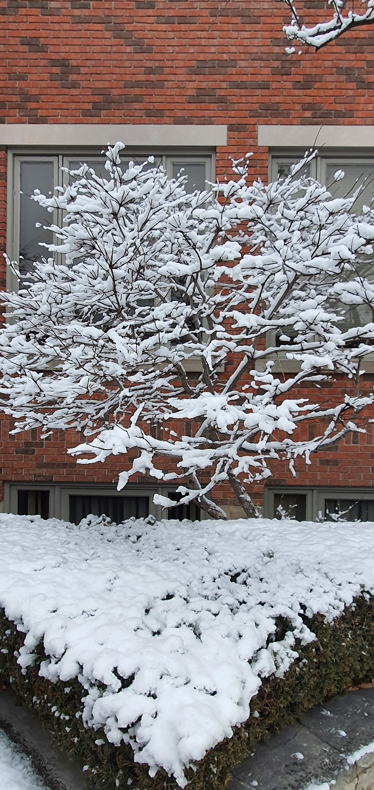 Astra-Fertility-Clinic-2