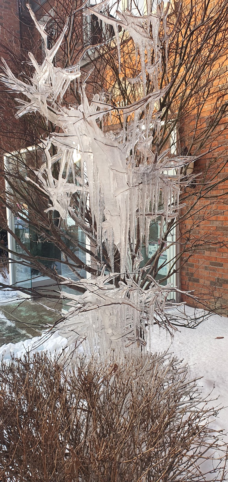 Astra-Fertility-Clinic-4