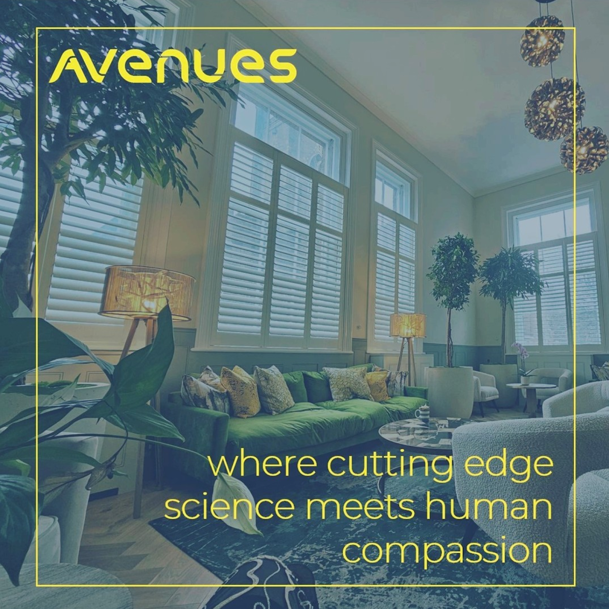 Avenues