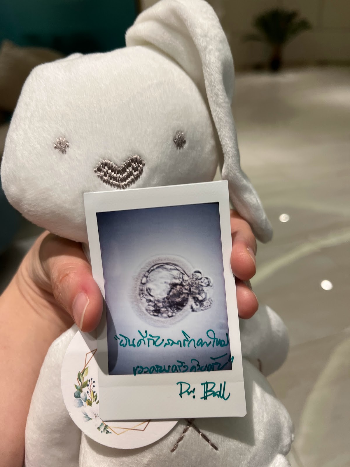 Bangkok Central Clinic IVF
