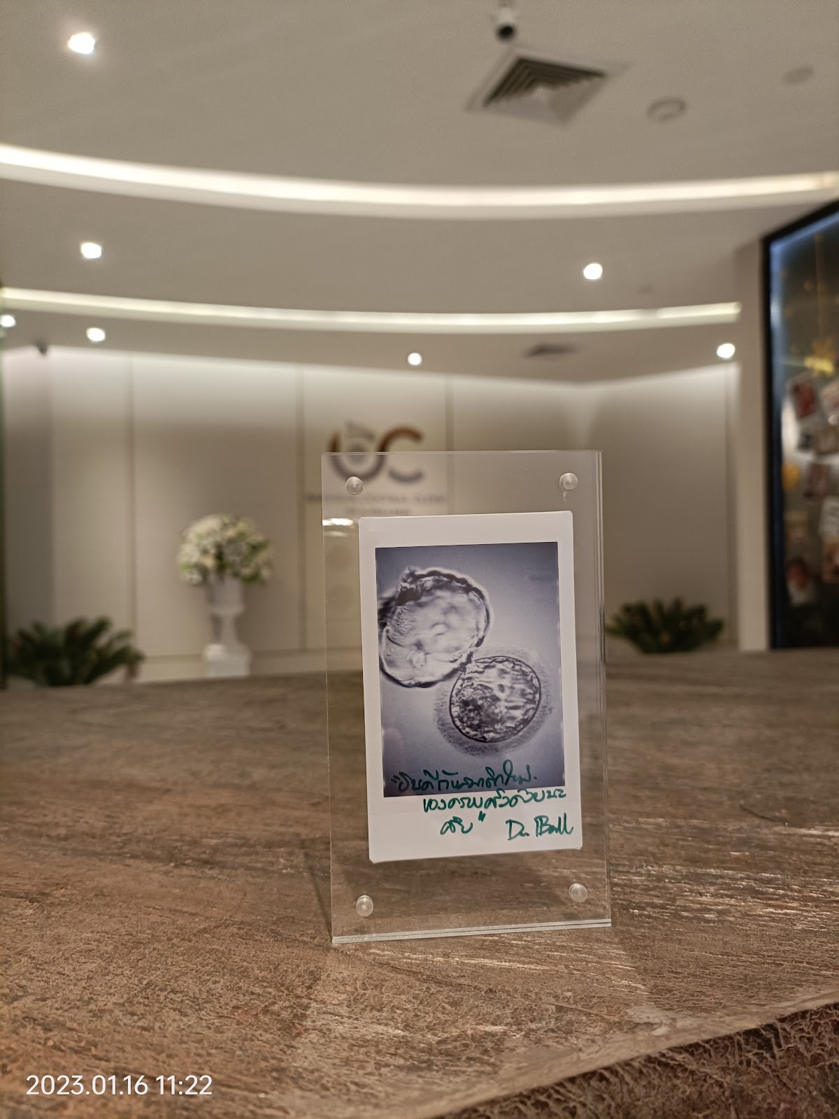 Bangkok Central Clinic IVF