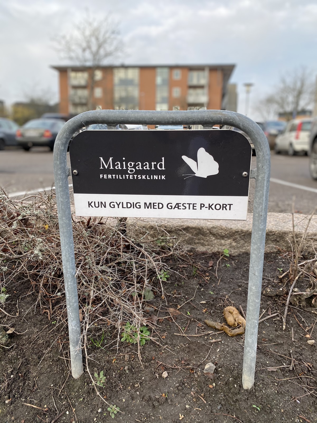 Bay-Gynaekologisk-Klinik-4