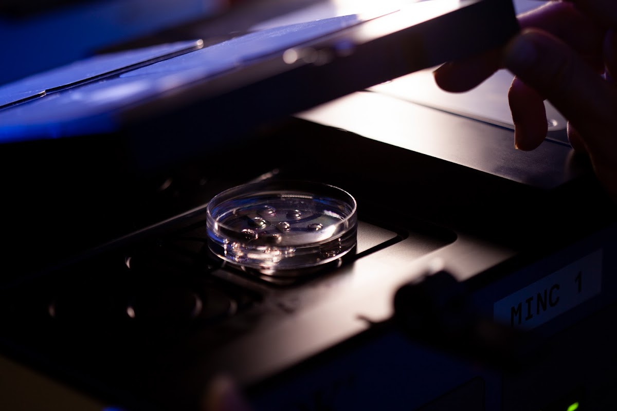 CAREMUJER-Clinica-Ginecologica-8