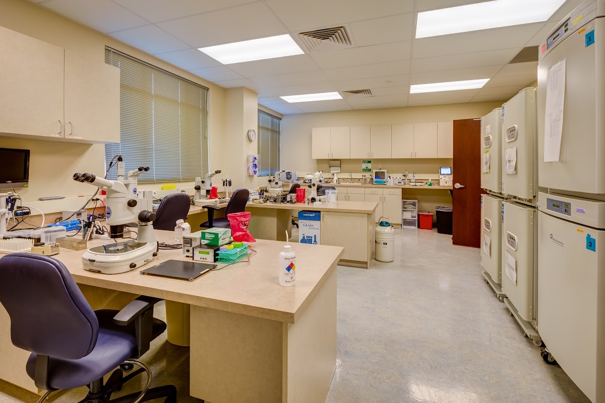 CCRM-Fertility-of-Lone-Tree-4