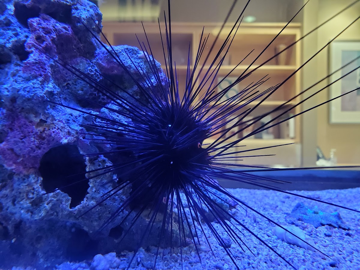 CReATe-Fertility-Centre-4