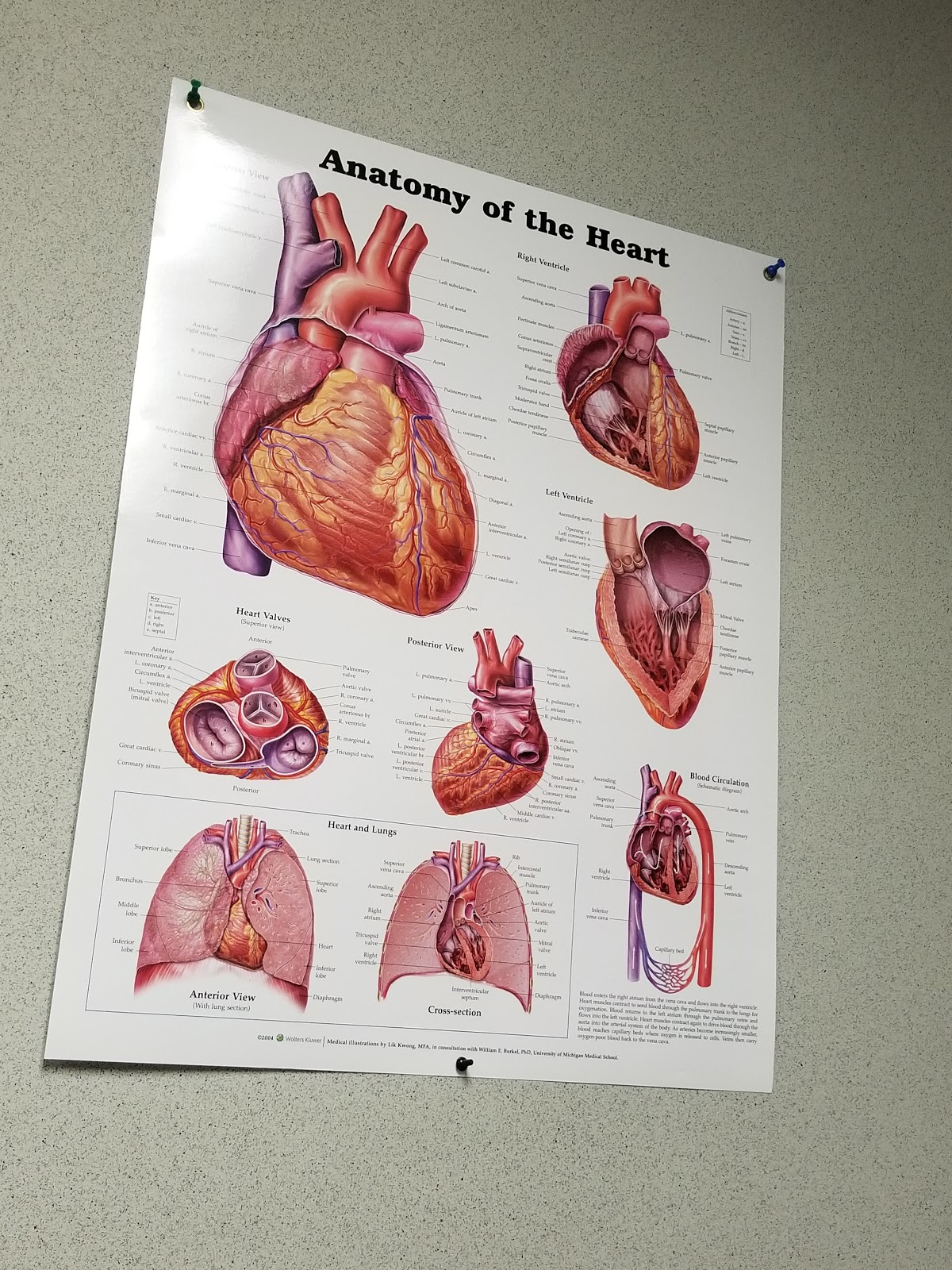 Caperton-Fertility-Institute-4