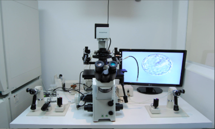 Centro-de-Fertilidad-del-Prado-3