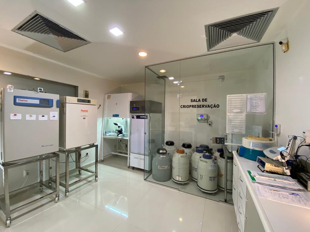 Clinica-Biofert-Ginecologia-e-Reproducao-Humana-3