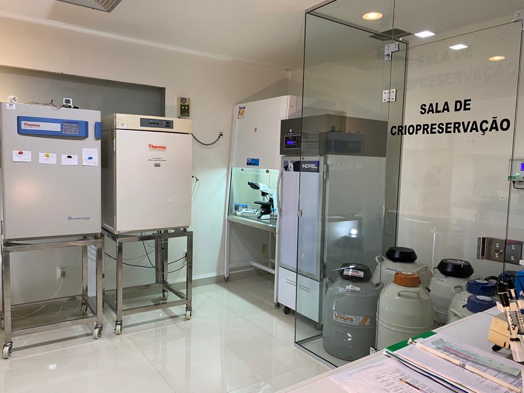 Clinica-Biofert-Ginecologia-e-Reproducao-Humana-4