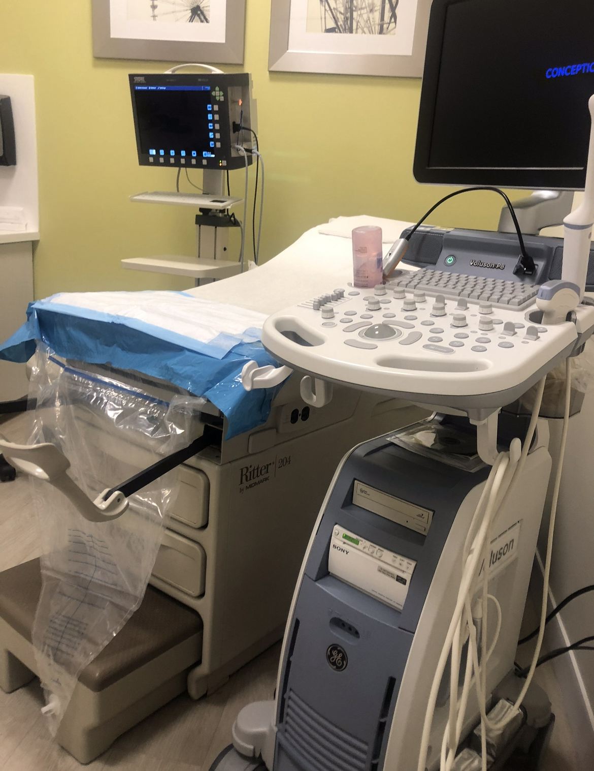 Conceptions-Florida-1