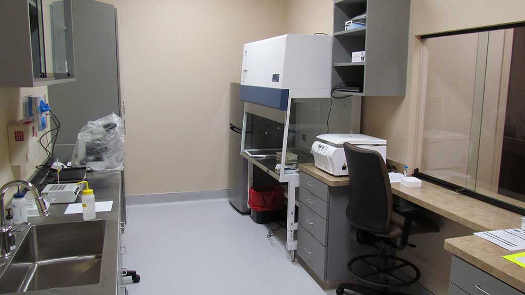 Dallas-IVF-8211-McKinney-4