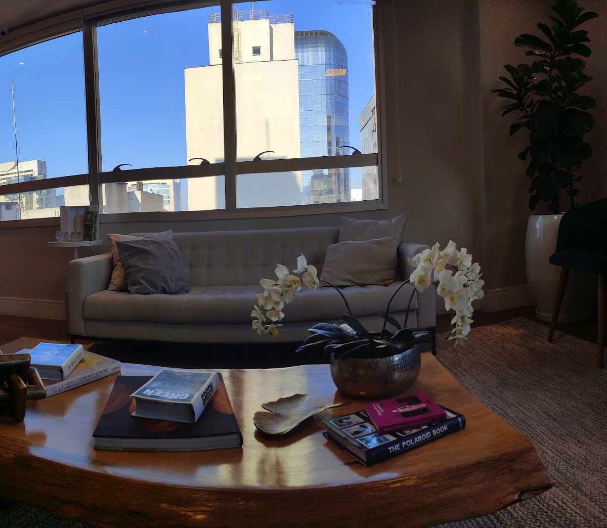 Dr.-Alexandre-Lobel-Tratamento-da-Infertilidade-Sao-Paulo-SP-4