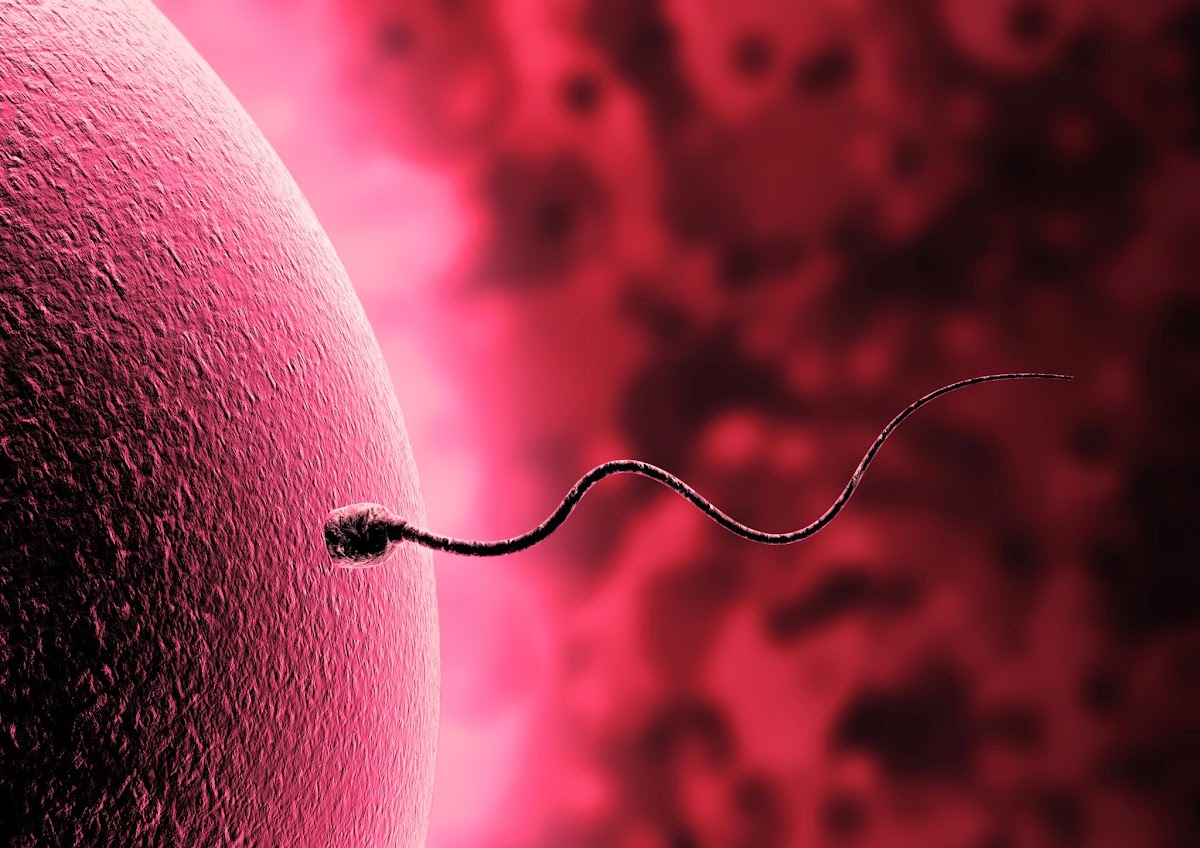 EasyFIV-Barcelona-8211-Clinica-de-fertilitat-i-Reproduccio-Asistida