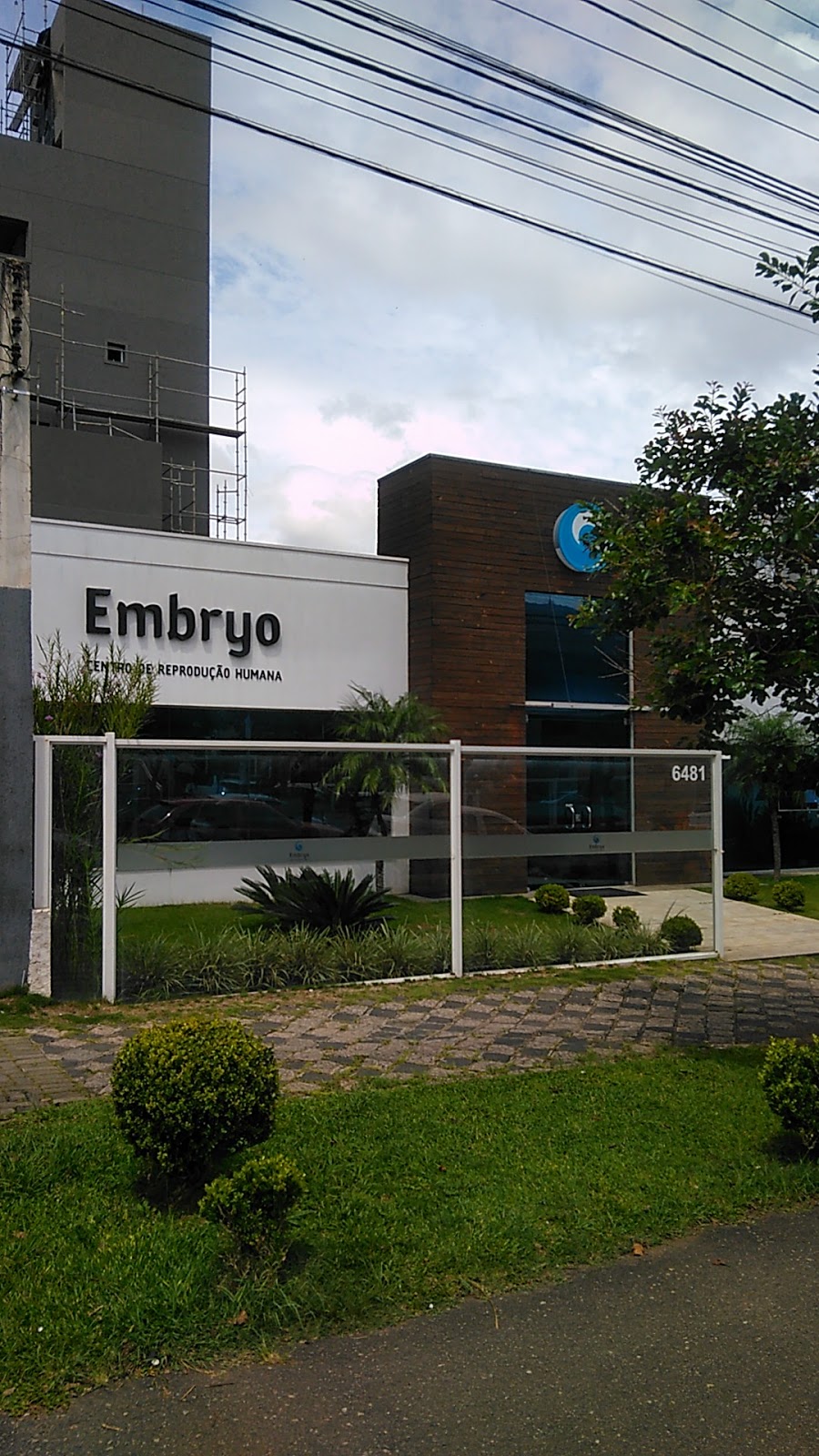 Embryo-8211-Tratamento-para-Infertilidade-1