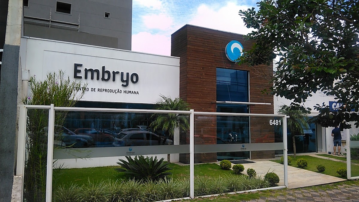 Embryo-8211-Tratamento-para-Infertilidade