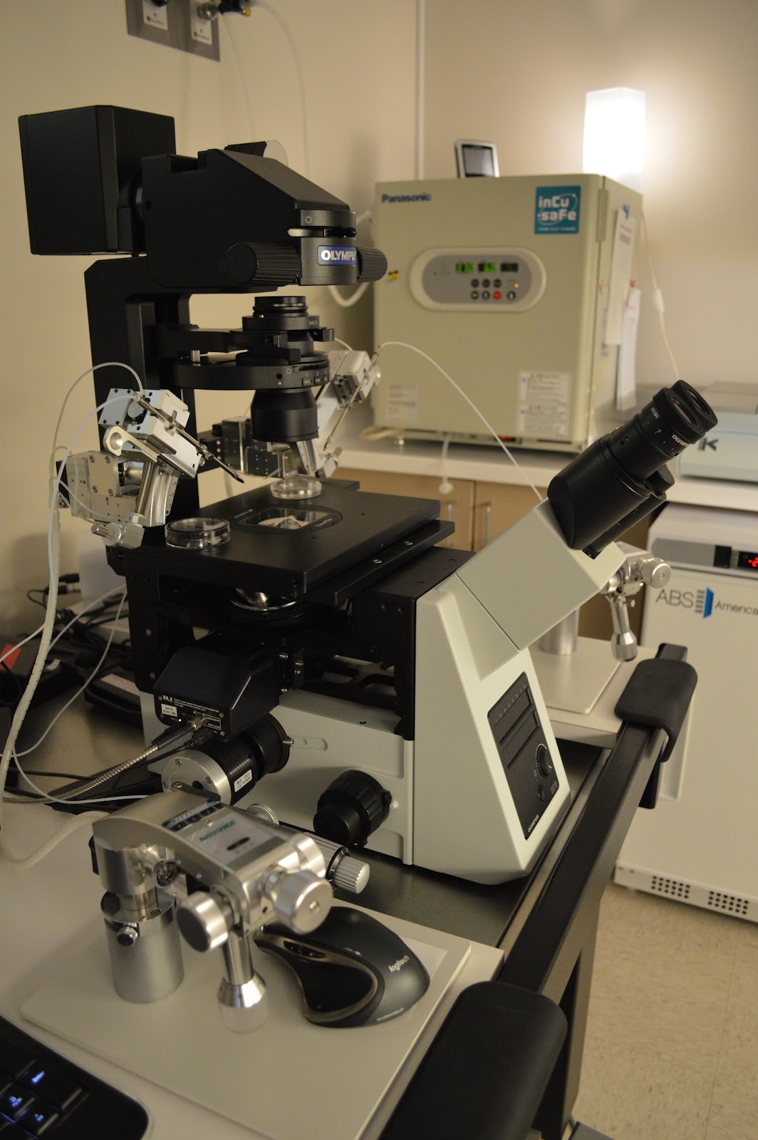 F.I.R.S.T.-IVF-amp-Egg-BankMinna-Ruth-Selub-M.D-1