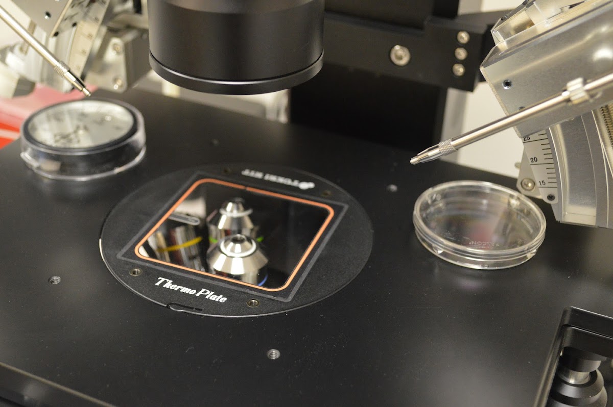 F.I.R.S.T.-IVF-amp-Egg-BankMinna-Ruth-Selub-M.D-2