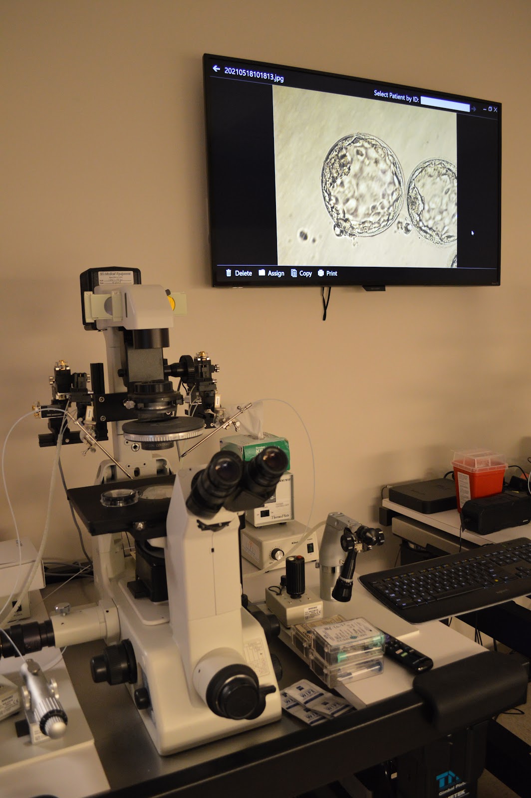 F.I.R.S.T.-IVF-amp-Egg-BankMinna-Ruth-Selub-M.D-4