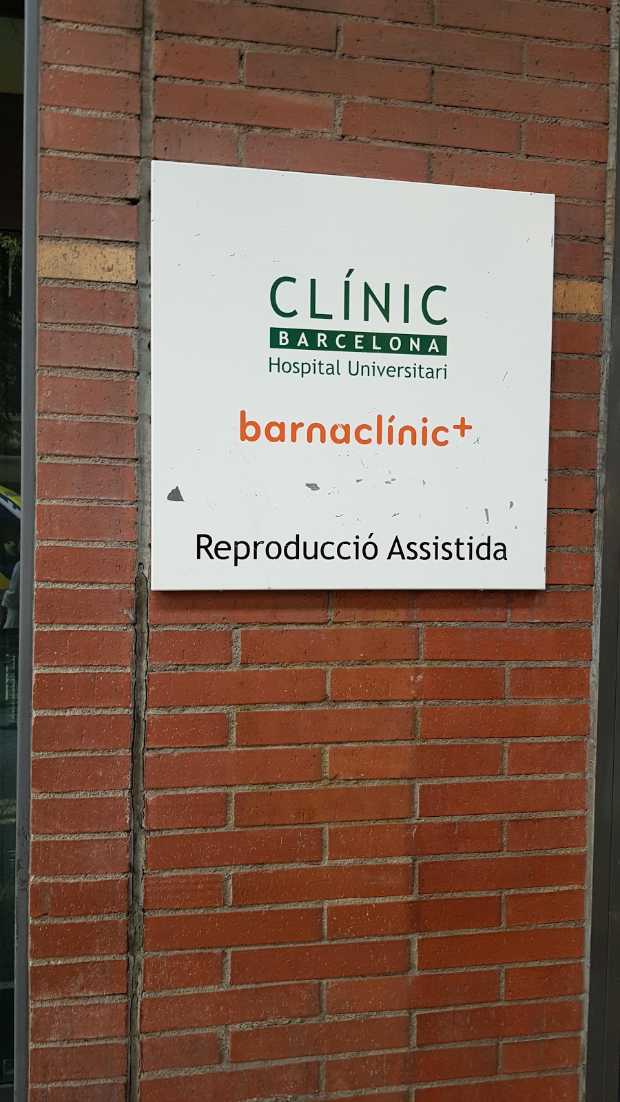 FIVclinic-3