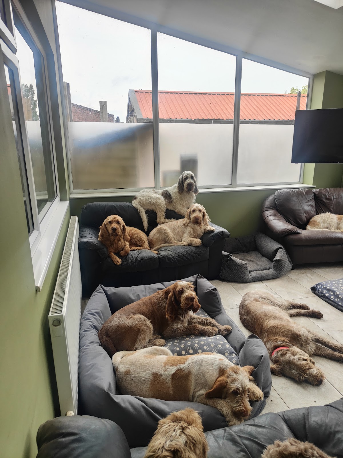 Fair-Hero-Canine-Fertility-2