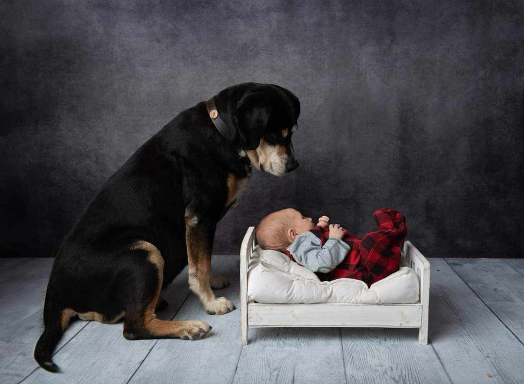 Fertility-Associates-of-Memphis-4