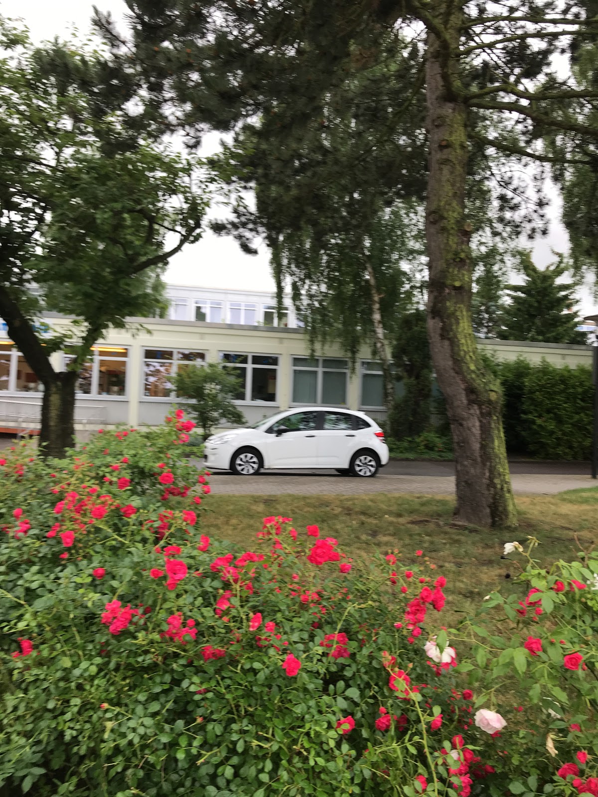 Fertility-Center-Rostock-GmbH-1