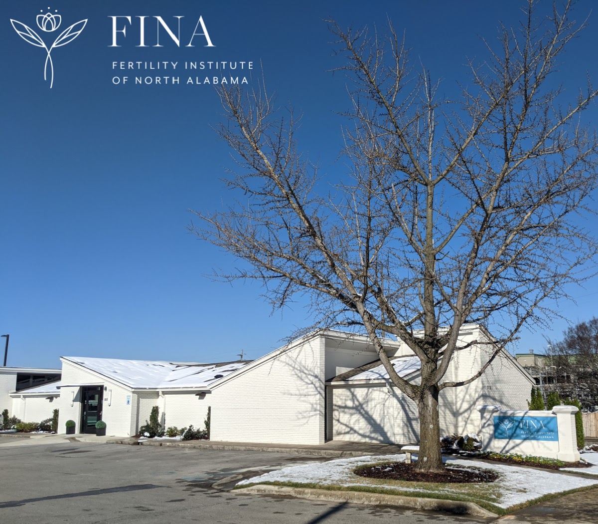 Fertility Institute of North Alabama