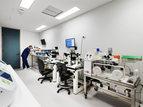 Genea Hollywood Fertility