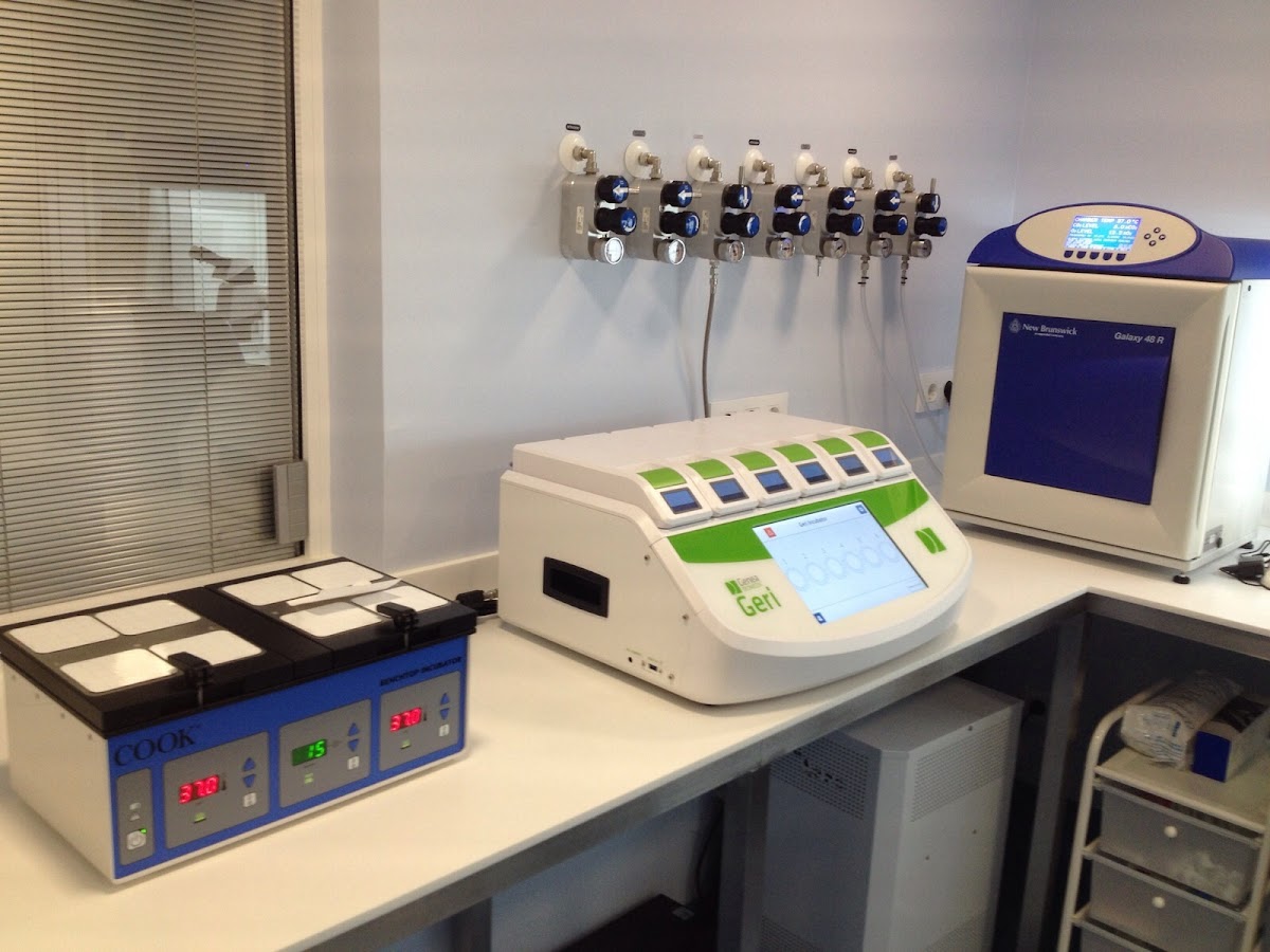 Ginemed-8211-FIV4-Oviedo-Clinica-de-Reproduccion-Asistida-y-Fertilidad-2