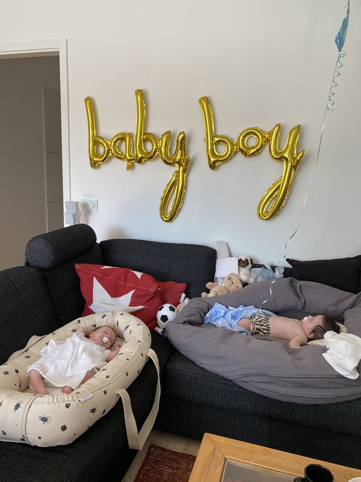 HermanFamily-fertility-amp-law-1