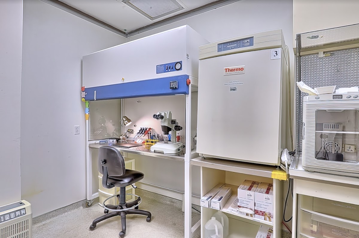 Houston-Fertility-Center-4