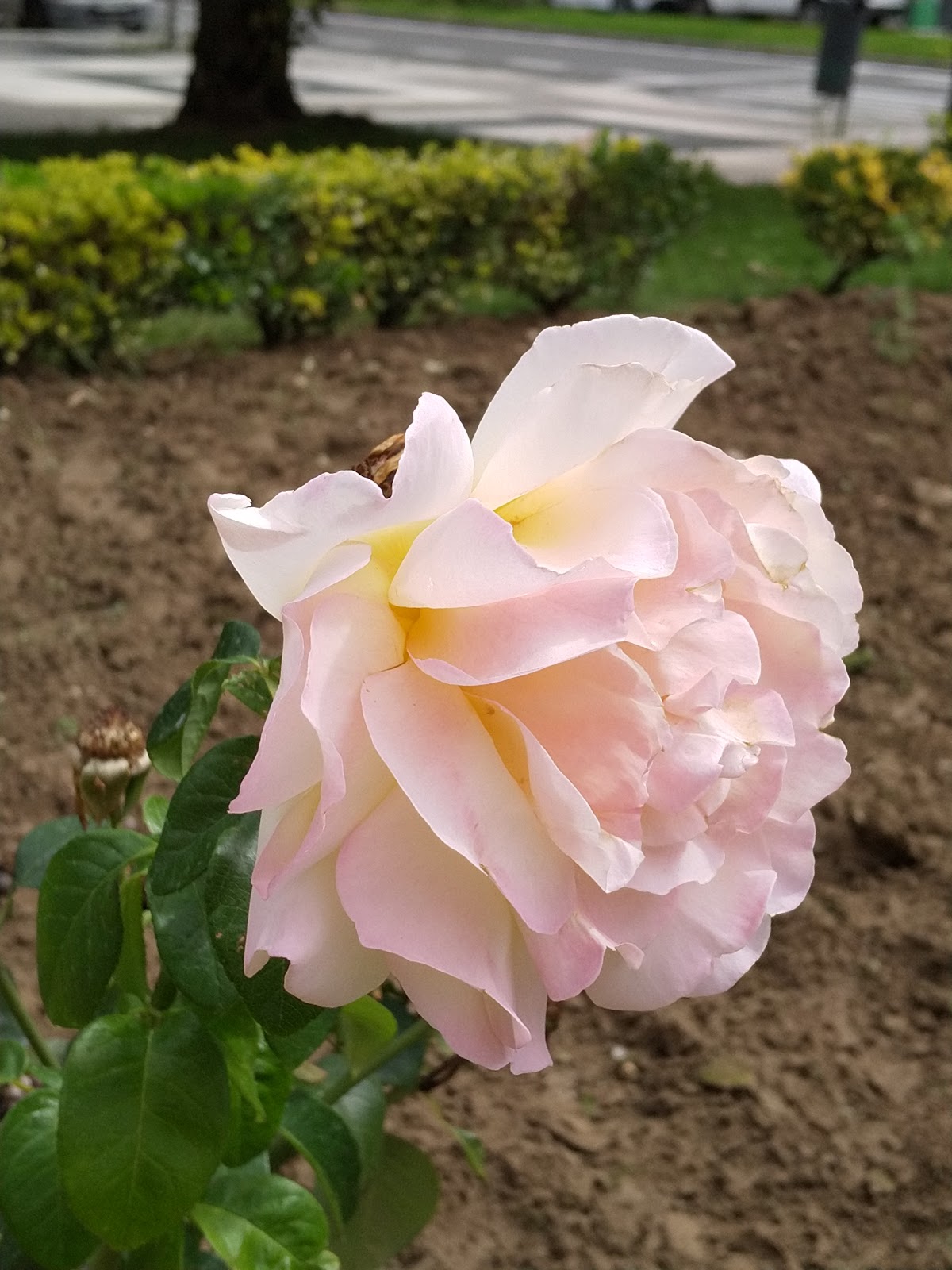 IGIN-Vitoria-8211-Especialistas-Reproduccion-Asistida-3