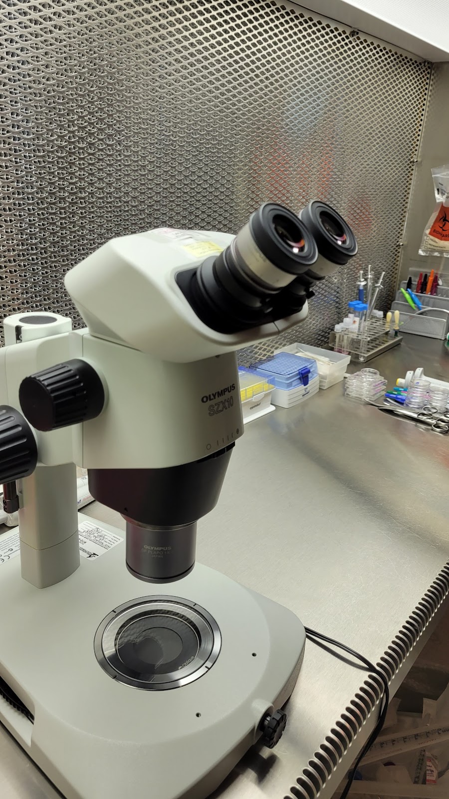 IVFMD-Fertility-Treatment-Center-4