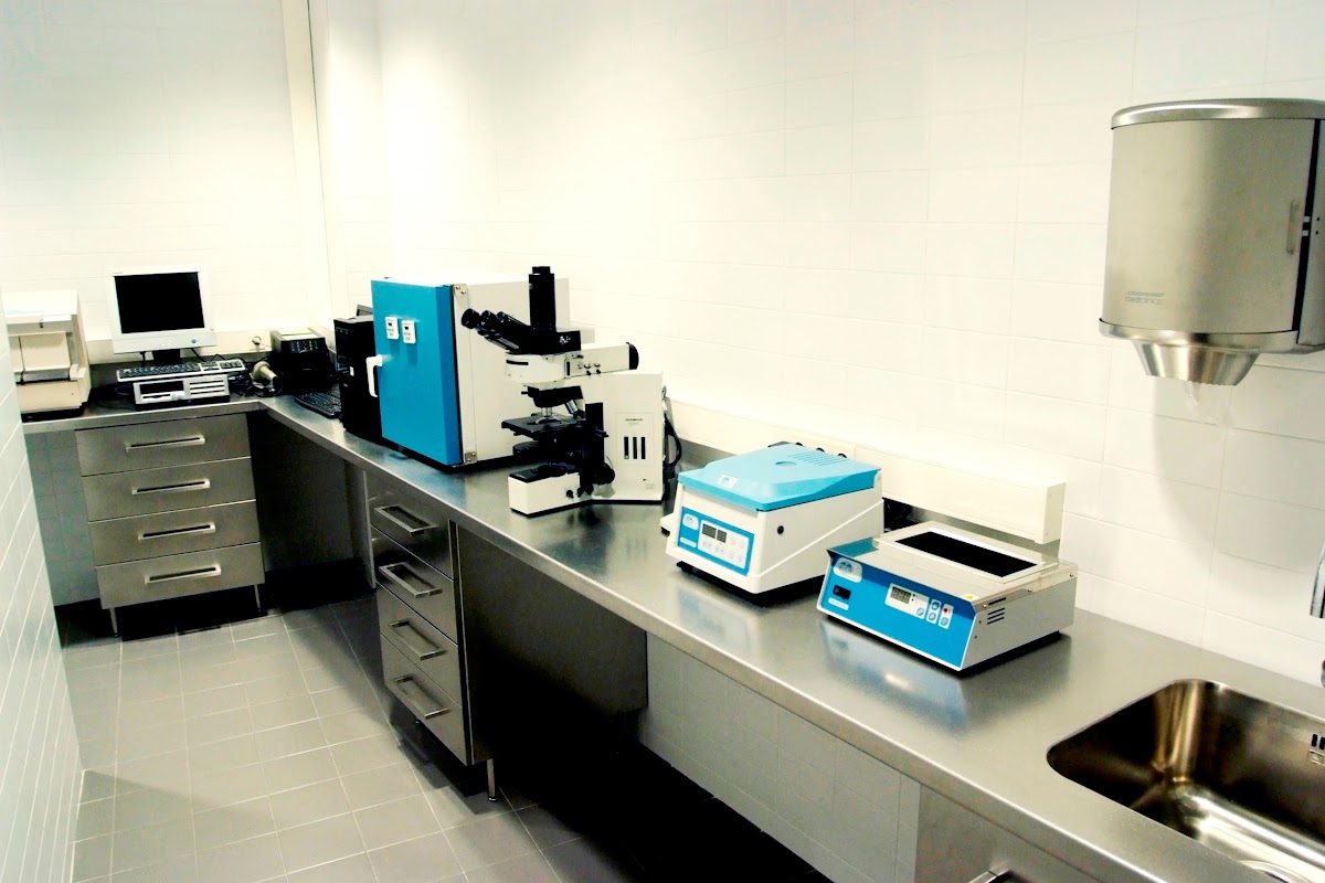 Instituto-Bernabeu-Albacete-4